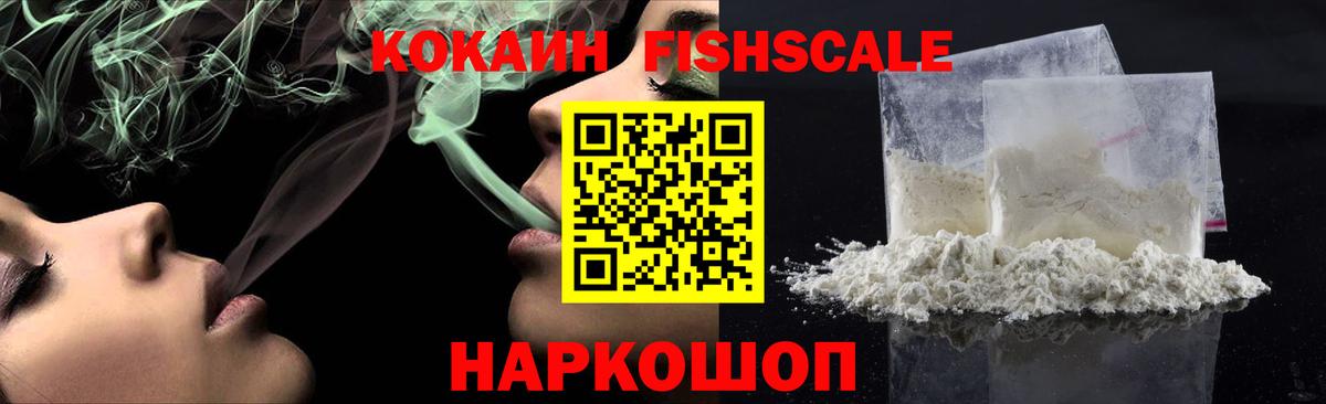 COCAIN Fish Scale Гай