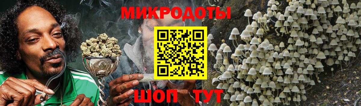 Гай  Псилоцибиновые грибы мицелий  Галлюциногенные грибы мухоморы  Вход с VPN 