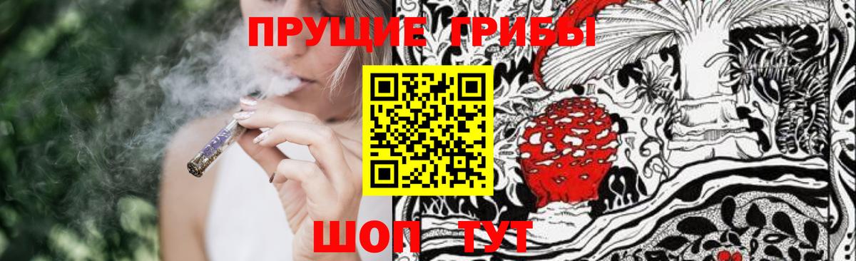 Псилоцибиновые грибы GOLDEN TEACHER Гай
